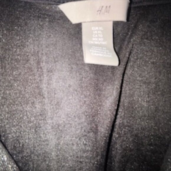 H&M, Metallic Blouse Bodysuit, XL - Picture 4 of 4